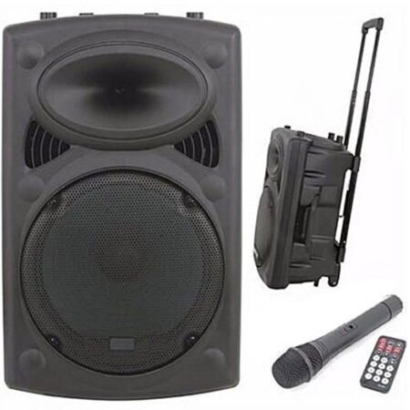 Woofer JIEPAK Rechargeable Bluetooth X BASS Microphone sans fil Radio Carte SD / Haut-parleur USB
