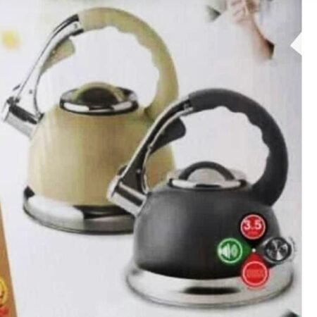 Bouilloire en Inox 3,5L chauffe eau