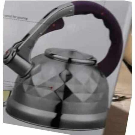 Bouilloire en Inox 3,5L chauffe eau B-158
