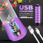 Mixeur électrique Extracteur de jus portable Rechargeable USB Shake and Take S-89