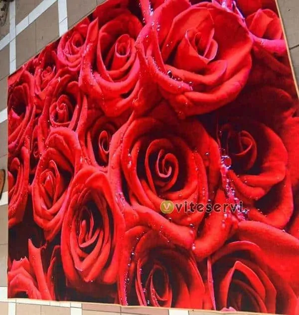 a735af88 fe30 4758 af07 ab9188fa6495