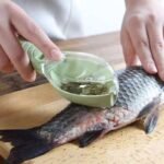 Écailleuse à poisson originale en plastique