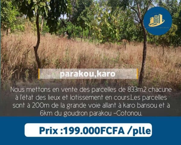 Bien immobilier parecelle à vendre à Parakou Karo