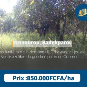 Un domaine de 3ha avec Cajou en vente à TCHAOUROU Badekparou