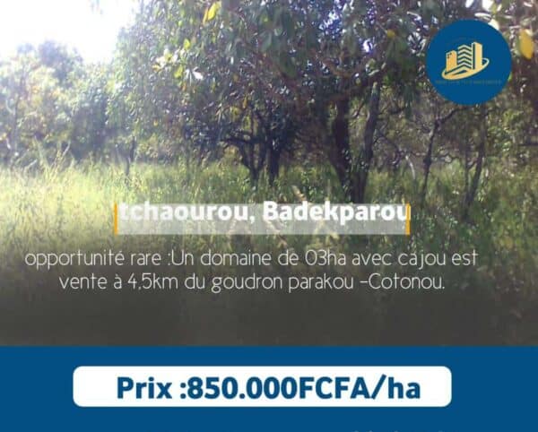 Un domaine de 3ha avec Cajou en vente à TCHAOUROU Badekparou