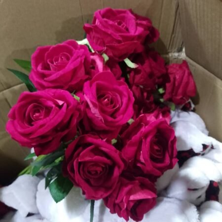 Rose fleur St Valentin