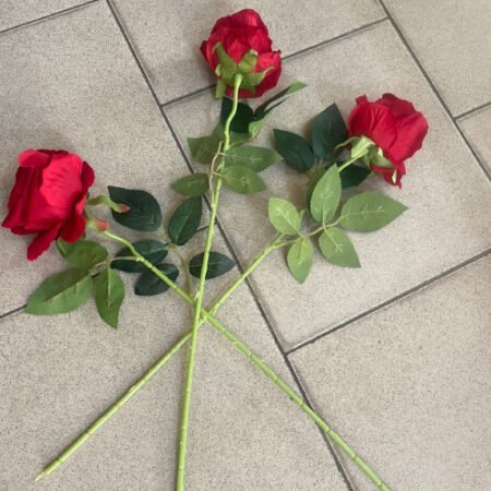 Rose St Valentin cadeau spéciale décoration spéciale