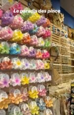 Pince en fleure hibiscus