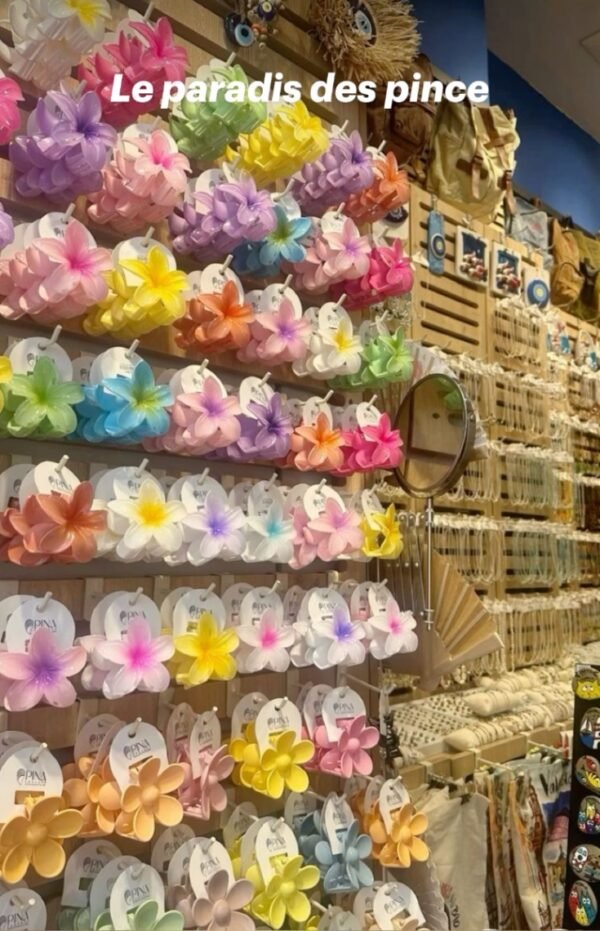 Pince en fleure hibiscus