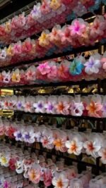 Pince en fleure hibiscus