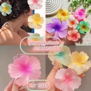 Pince à fleur ð¸ hibiscus