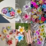 Pince à fleur ð¸ hibiscus