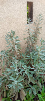 Screenshot 20260218 155753