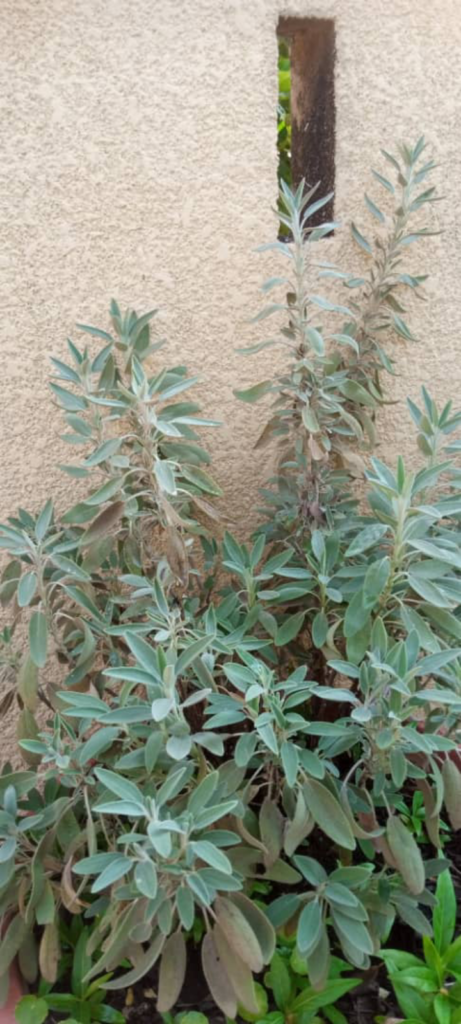 Screenshot 20260218 155753