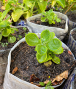 Screenshot 20260219 195049